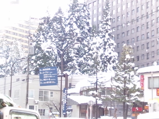 新潟県越後湯沢の12月の積雪